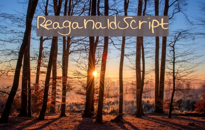 ReaganaldScript Font examples