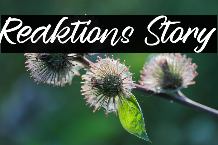 Reaktions Story Example 1