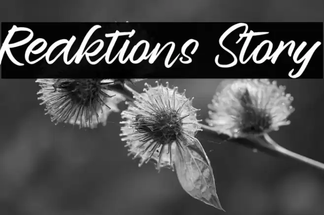 Reaktions Story Font examples