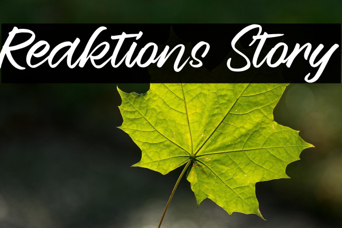 Reaktions Story Example 3