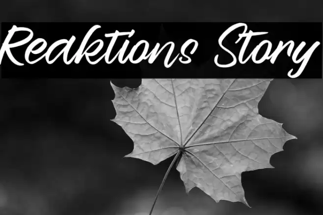 Reaktions Story Font examples
