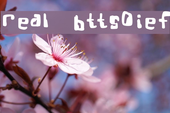 Real Bttsoief Font examples