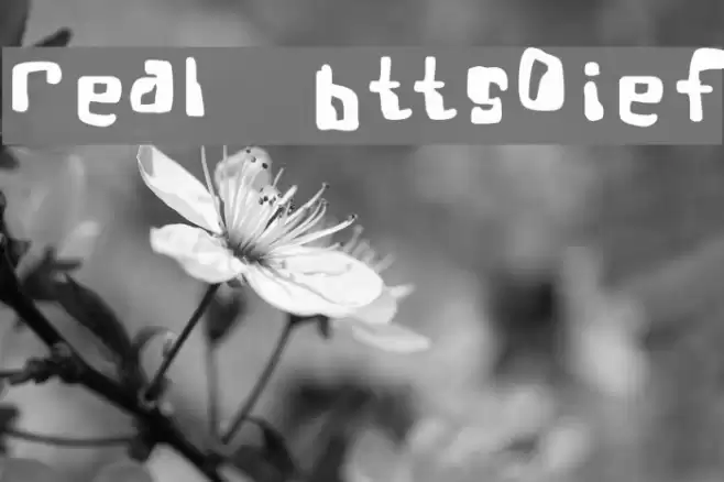 Real Bttsoief Caratteri examples