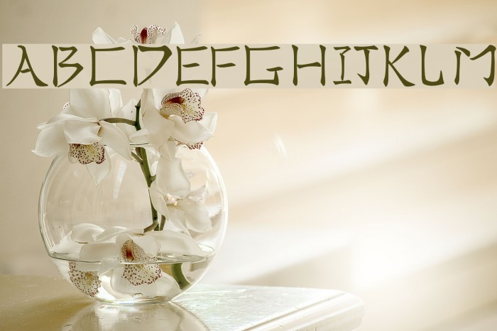 Real Chinese Example 1