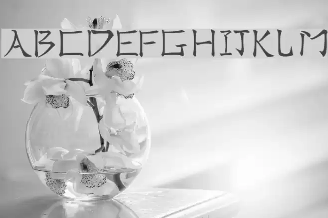 Real Chinese Font examples