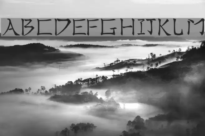 Real Chinese Font examples