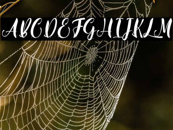 Real Gipsy - Personal Use Example 3