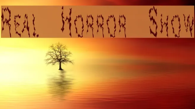 Real Horror Show Example 3