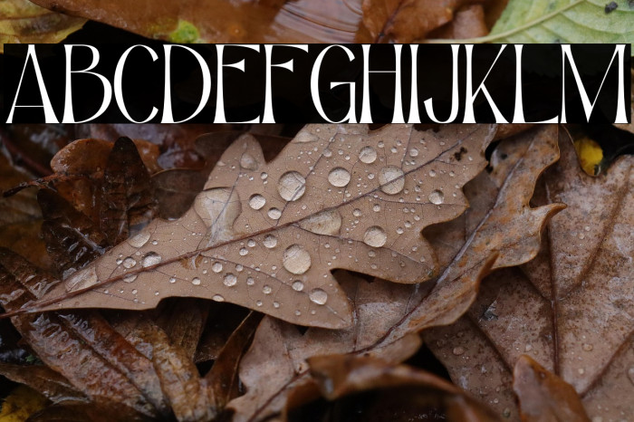 Real Magic Personal Use Example 3