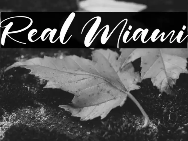 Real Miami Font examples
