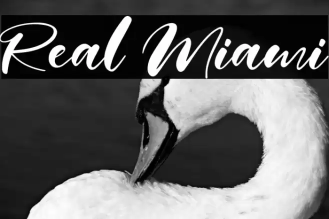 Real Miami Font examples
