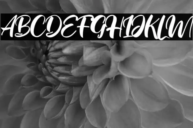 Real Ohio Font examples