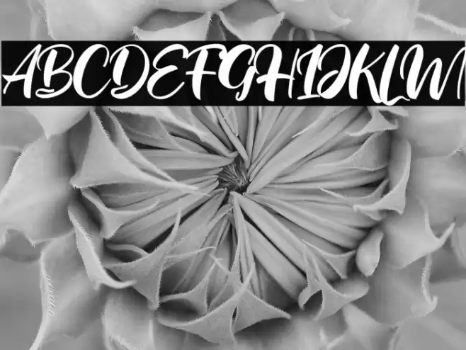 Real Ohio Font examples