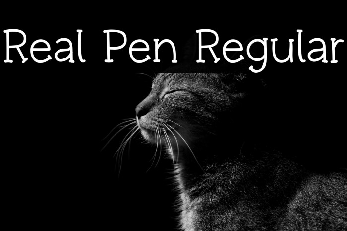 Real Pen Regular Example 2