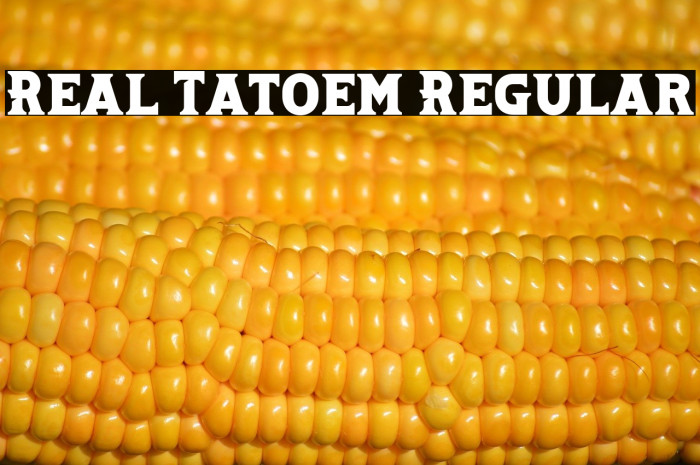 Real Tatoem Regular Example 1