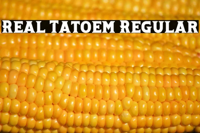 Real Tatoem Regular Example 1