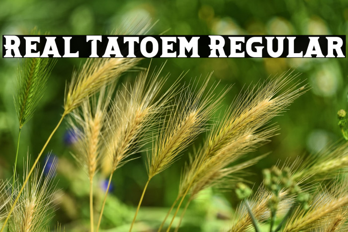 Real Tatoem Regular Example 3