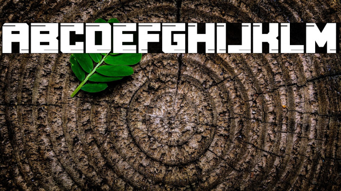 Real Young Example 1