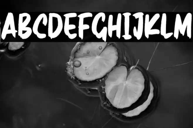 RealBrush Font examples