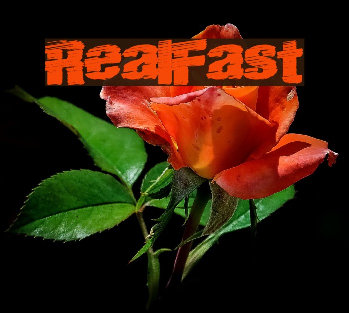 RealFast Font examples