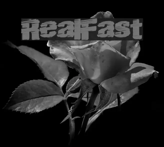 RealFast Font examples