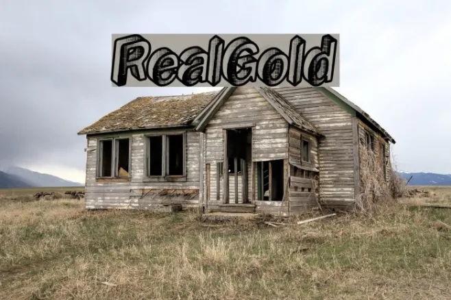 RealGold Example 1