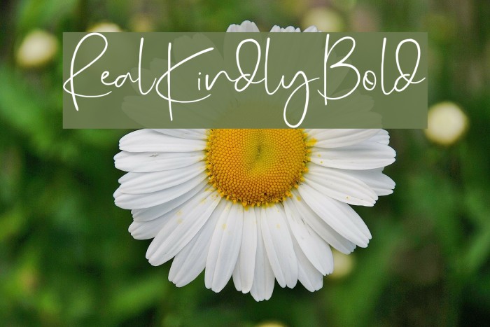 RealKindly-Bold Font examples