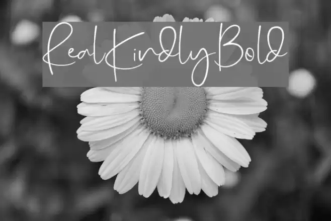 RealKindly-Bold Caratteri examples