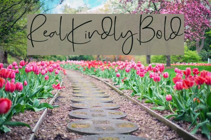 RealKindly-Bold Font examples