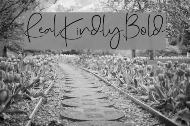 RealKindly-Bold Caratteri examples