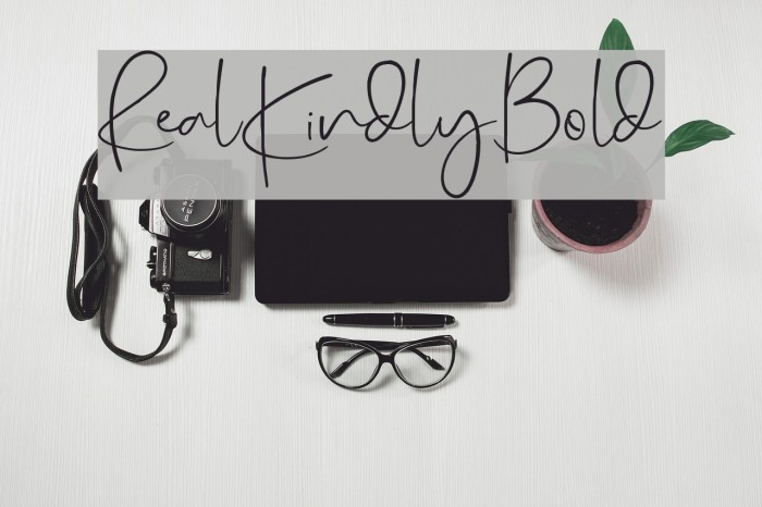 RealKindly-Bold Font examples