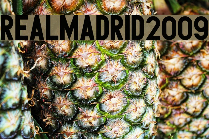 RealMadrid2009 Polices examples