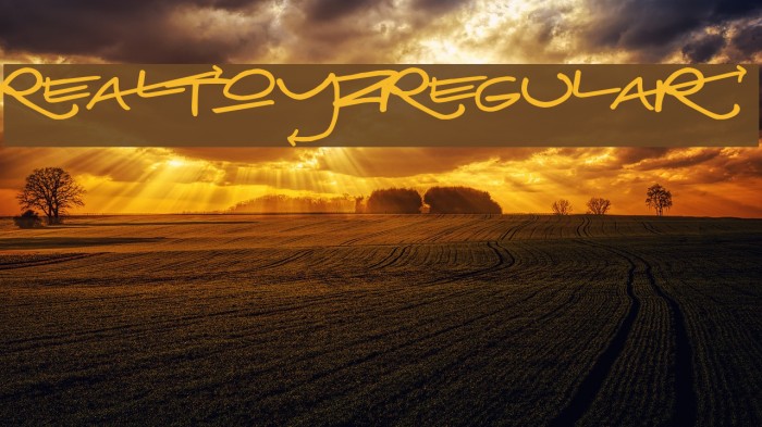 RealToyz-Regular Font examples