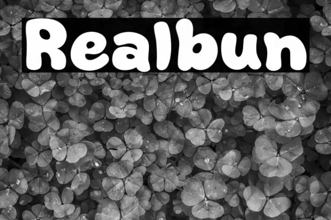Realbun フォント examples