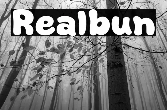 Realbun フォント examples