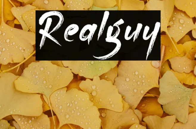 Realguy Example 1