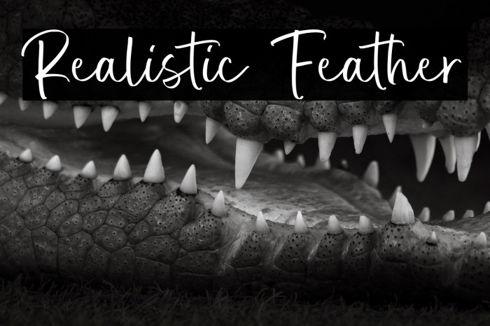Realistic Feather Example 1