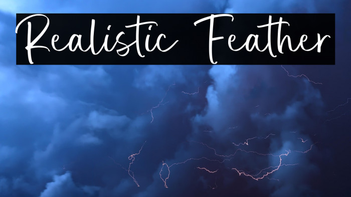 Realistic Feather Example 2