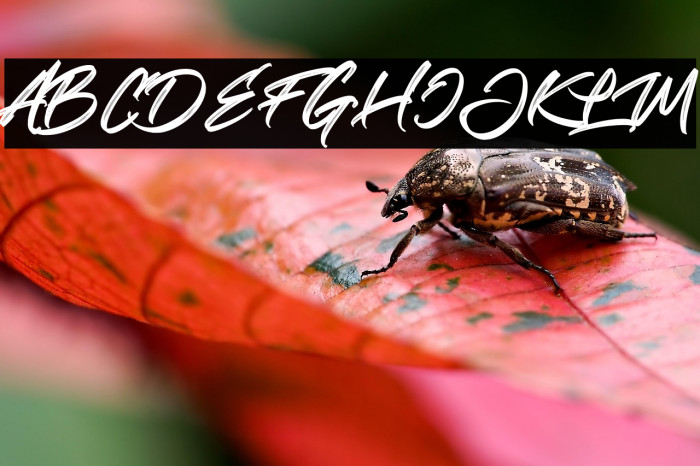 Realistic Theory Example 1