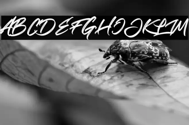 Realistic Theory Font examples