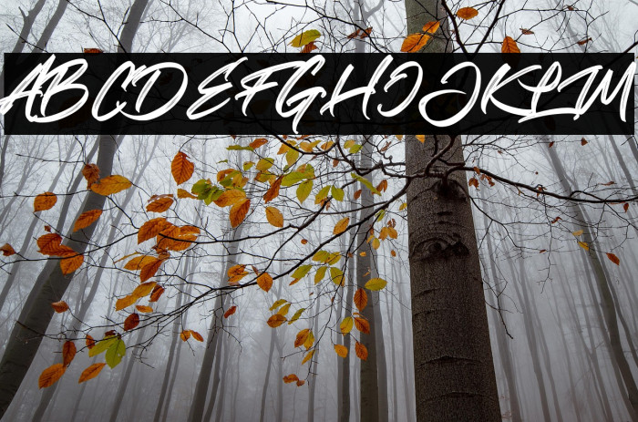 Realistic Theory Example 3