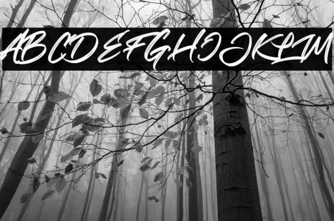 Realistic Theory Font examples