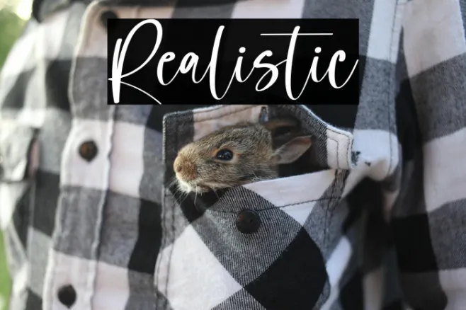 Realistic Example 1