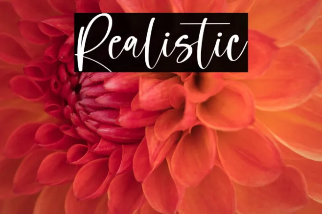 Realistic Example 3