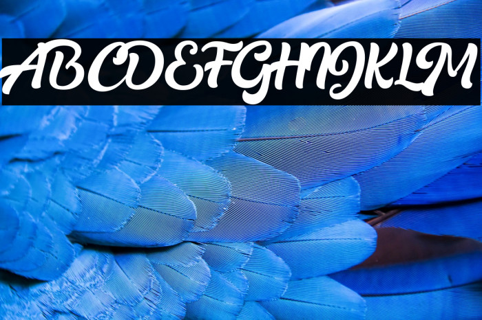 Realistica Demo Example 2