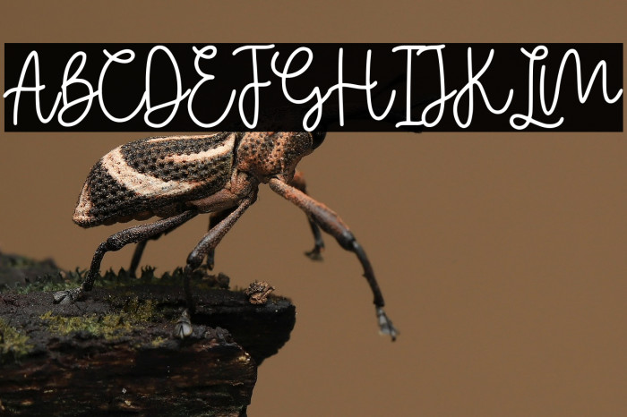 Realitta Demo Version Example 3