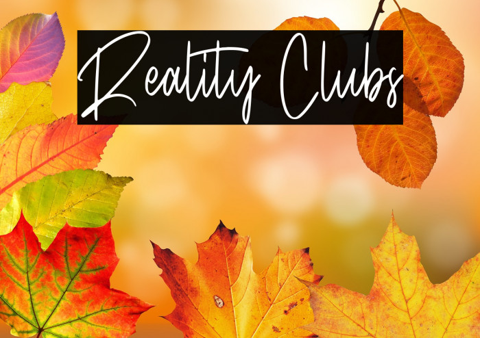 Reality Clubs Example 1