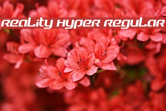 Reality Hyper Regular Example 1