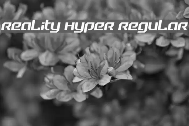 Reality Hyper Regular Font examples