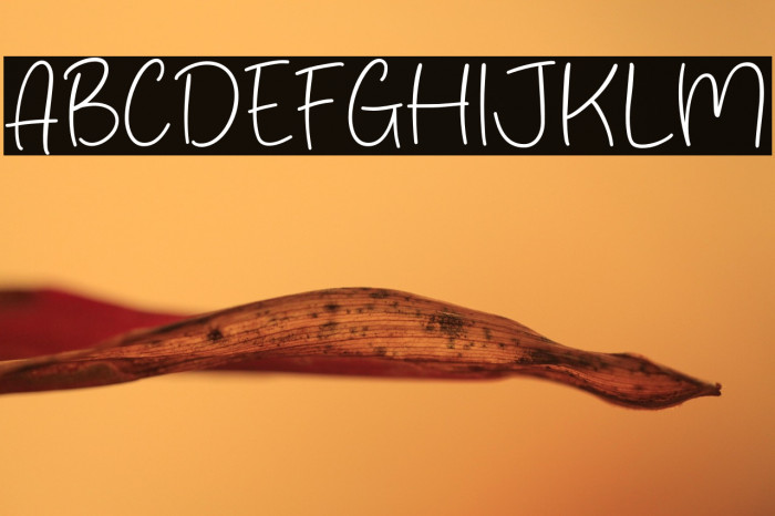 Reality Scene Example 2